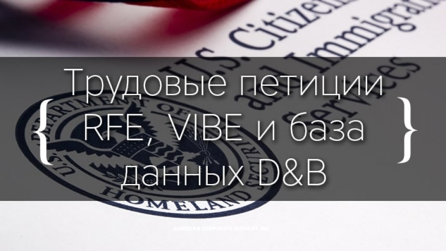Трудовые петиции RFE, VIBE и база данных D&B