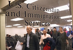 Что брать с собой в офис Иммиграционной службы?